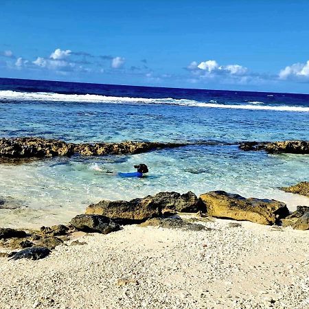 Un Ecrin De Paix Au Soleil Et Proche De La Mer Moorea Luaran gambar