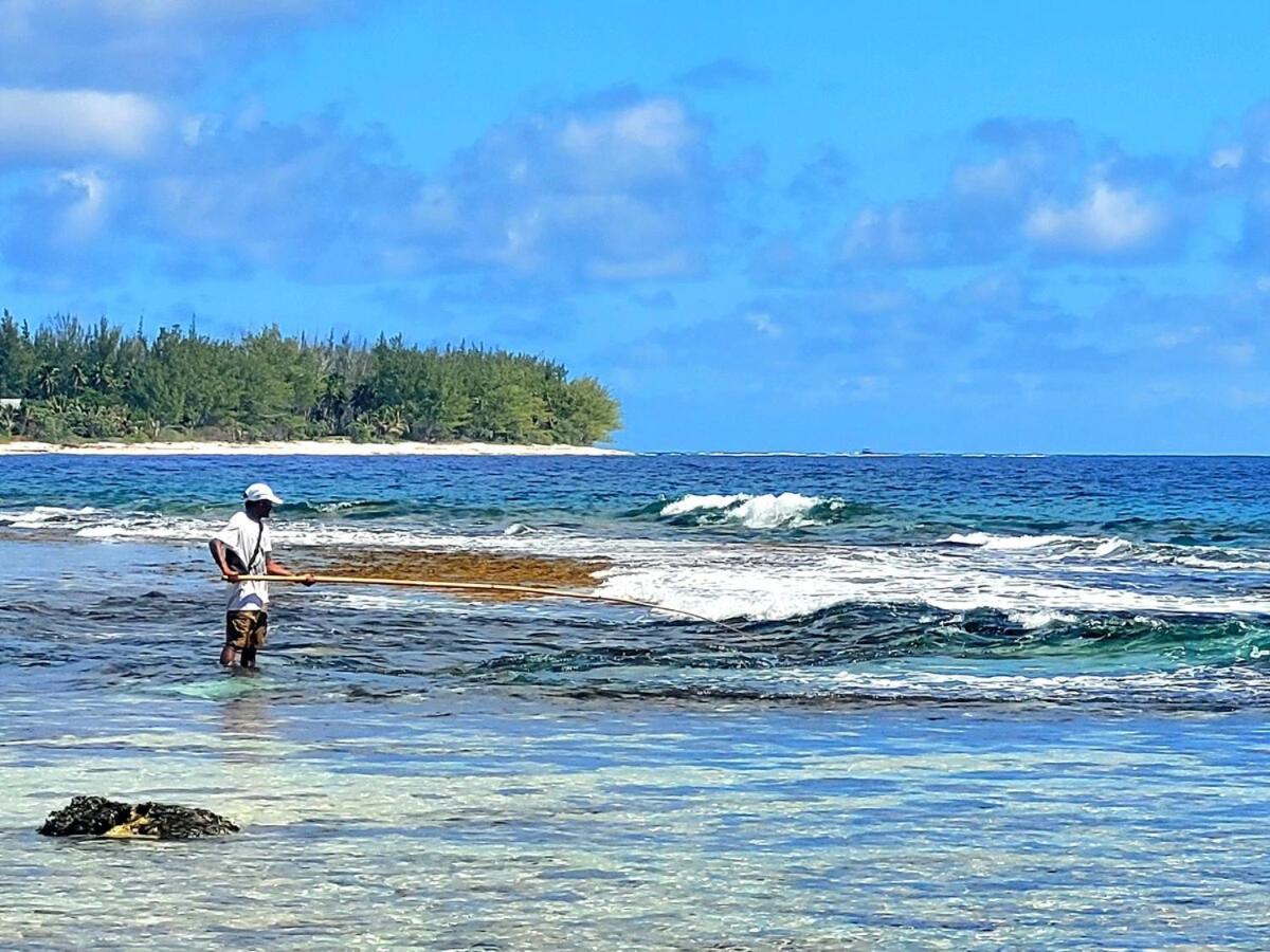 Un Ecrin De Paix Au Soleil Et Proche De La Mer Moorea Luaran gambar